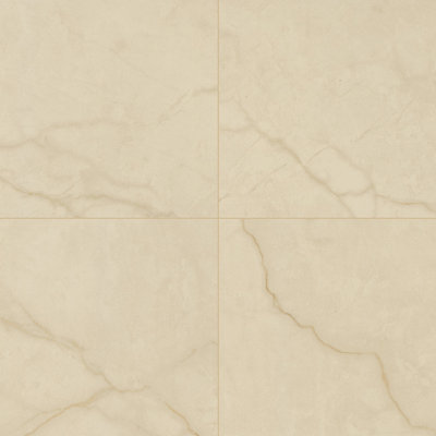Carreau de sol en marbre aspect porcelaine mat 24 po x 24 po Ackland Beldale
