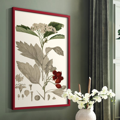 Leaves & Berries I Framed Print - Solid Wood