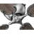 Royer 56'' Ceiling Fan-2136034188
