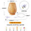 Alliannah Wood Table Lamp