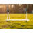 AXI Hemlock Swing Set with 1 Swing(s)-997256708