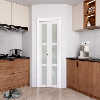 Porte pliante en verre givré 3-Lite 24 po x 80 po avec ensemble de quincaillerie d'installation