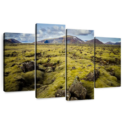 Mossy Iceland Landscape