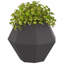  Planter Steel-1974654431-1974654420