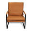 Fauteuil d'appoint Jhaniah, fauteuil moderne avec structure en métal, fauteuil en cuir et canapé rembourré-2007873480