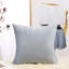 (Covers With Inserts) Set of Two 18'' or 20'' Solid Colours Flat Pattern Throw Pillows-23327419-67973619-23327427
