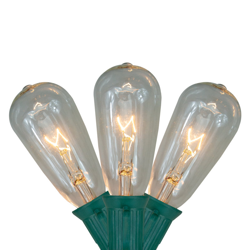 10-Count Clear Transparent Edison Patio Light Set  9Ft Green Wire