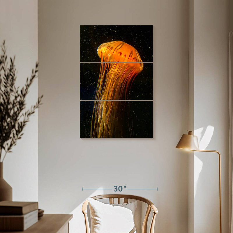 Pacific Sea Nettle