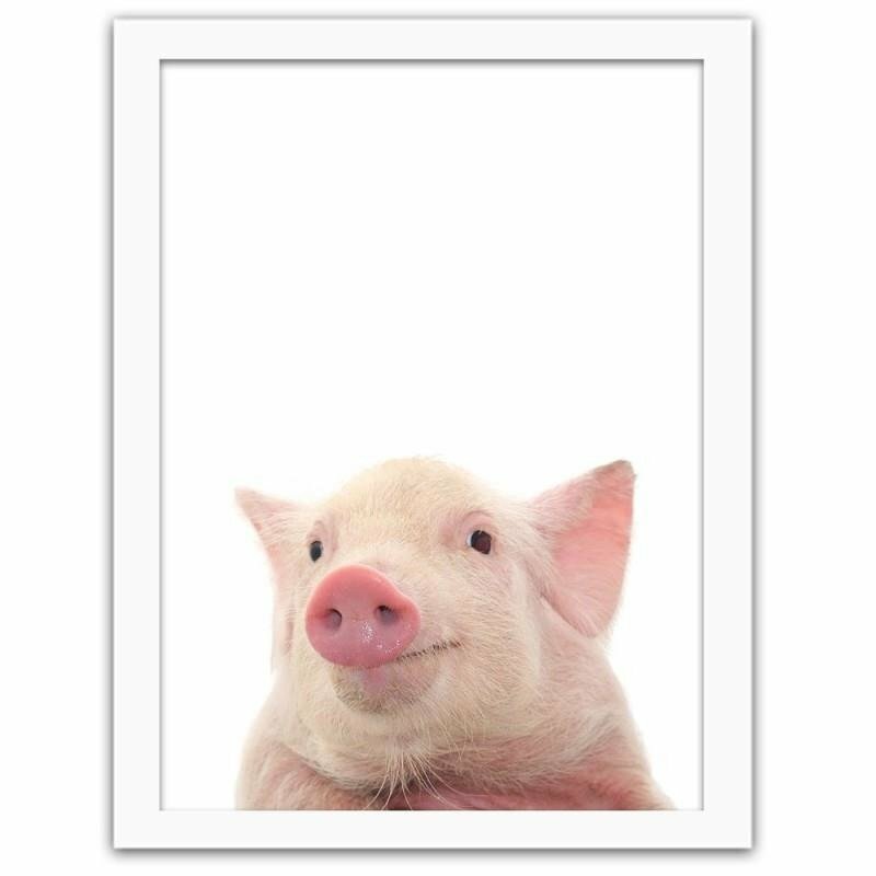 Gerahmter Fotodruck Piglet