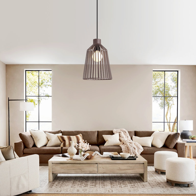1 - Light Matte Black Caged Pendant, Brown