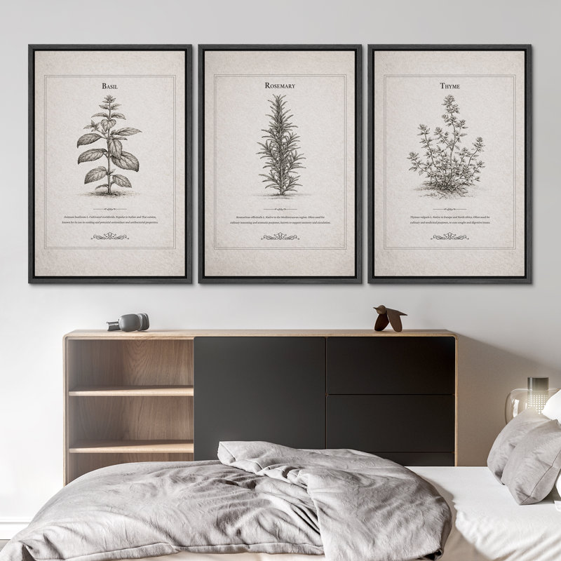 "Herb Botanical Artwork" of Basil, romarin, thym, art mural encadré sur toile, impression de 3 pièces, H 36 po x l 24 po