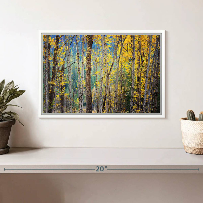 Kootenay Fall II, Cadre flottant blanc, 13 po x 9 po