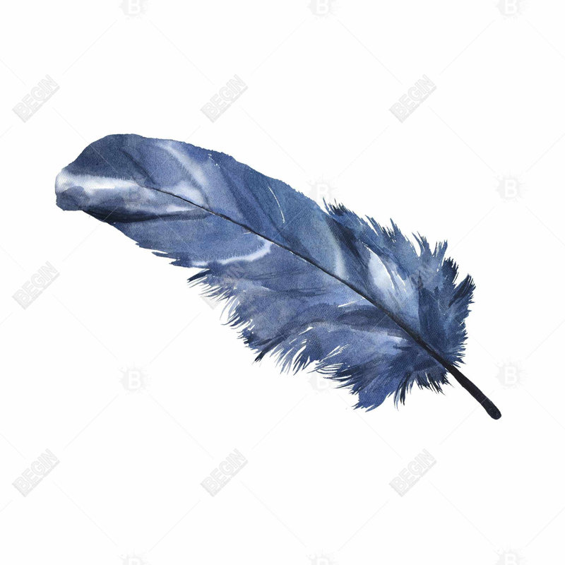 " Blue Feather "