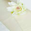600 TC 100% Cotton Range Sateen Fitted Sheet-14643307-43242574