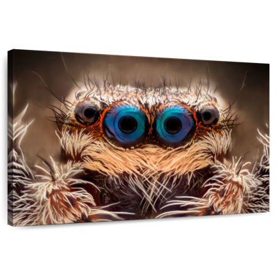 Blue Spider Eyes