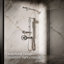 Occasion Single-Function 2.5 Gpm Handshower-298416795