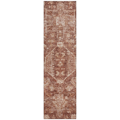 Machine Washable Indoor/Outdoor Earleville ACN2356 Traditional Rug