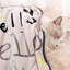 Couvertures pour chiens-99210934