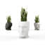 Adan Resin Statue Planter-49045093-105402013