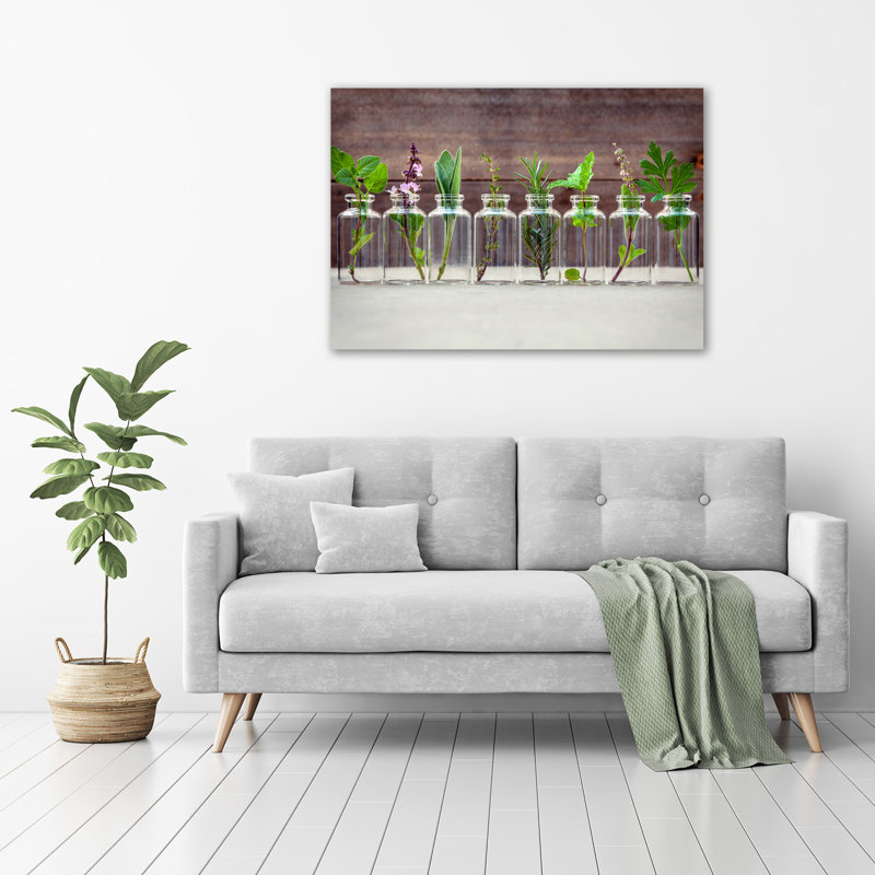 Plants In Jars - Wrapped Canvas Print