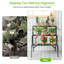 Canady Plant Stand