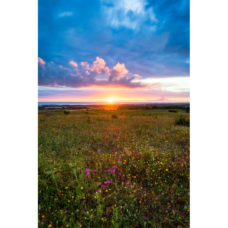 «Sunset On The Horizon» par - Photographie sur toile tendue, H 18 po x l 12 po