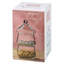 Glass Jar