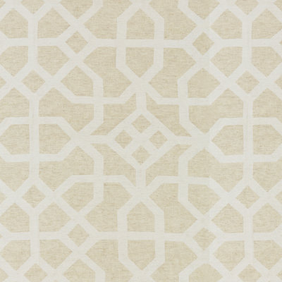 Modern Luxury Lattice Fabric
