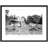 Bodfari, The Tea Gardens 1936 by Francis Frith - Single Picture Frame Print-51321135
