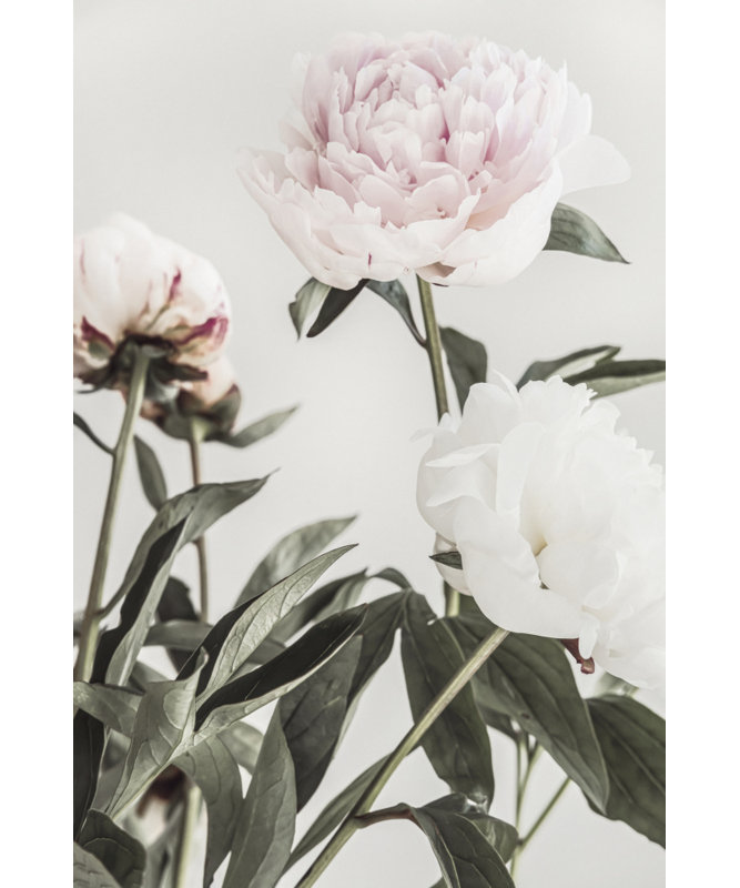 Wrapped Canvas Print, 50.8 cm H x 76.2 cm W