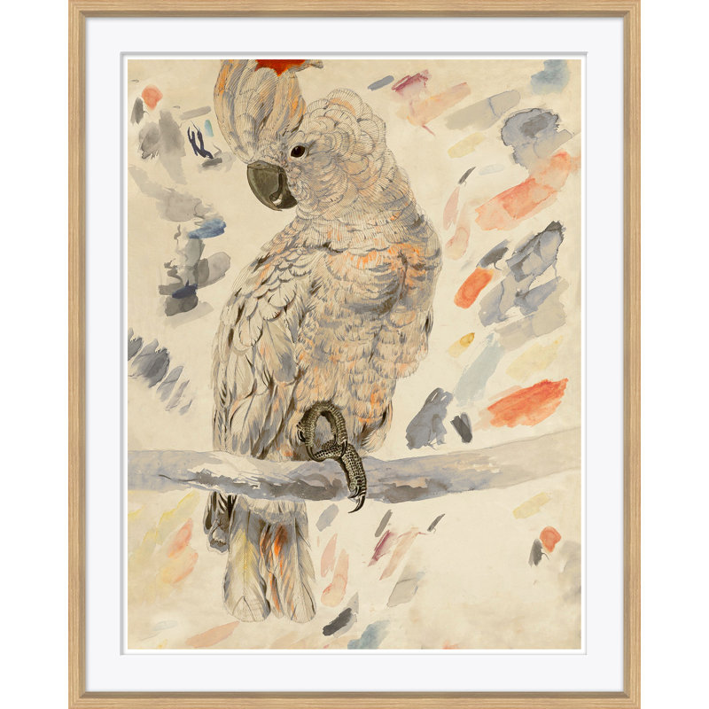 Watercolor Birds 2 Giclee Print by Soicher Marin Archives
