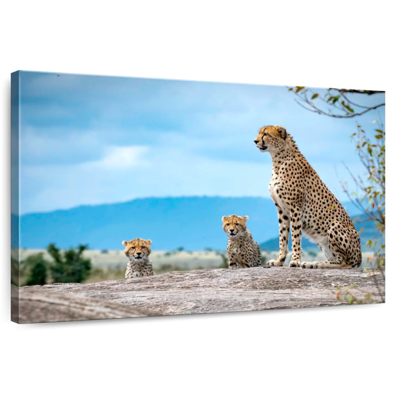 Cheetah And Cubs, 30" H x 45" W