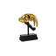 Tooth Tiger Skull-42650008