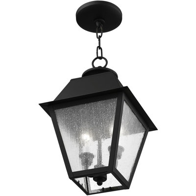 9in2 Light Outdoor Chain Lantern Pendant Fixture with Seeded Glass Shade