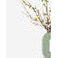 Sage Quince Bud Arrangement
