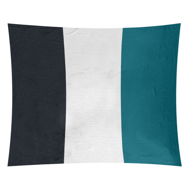 Tapisserie en polyester Jacksonville, H 27,5 po x l 37,5 po, Noir / blanc / aqua