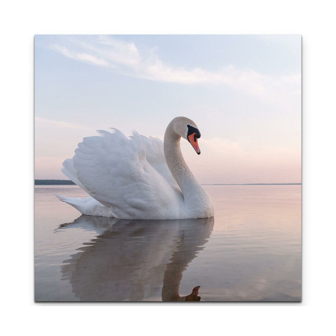 Leinwandbild Schwan auf einem See an einem sonnigen Tag