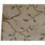 One-of-a-Kind 3' X 5' Area Rug