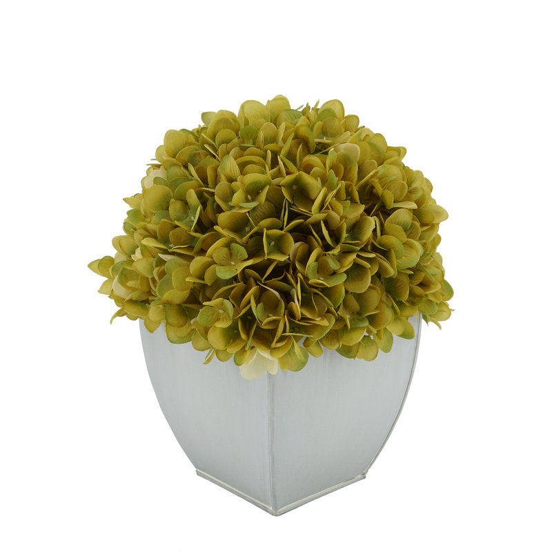 Arrangements floraux d'hortensias en pot, Sauge