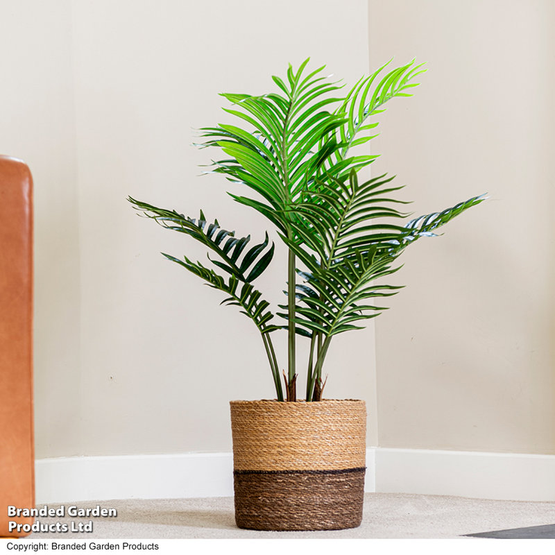 90cm Palm Tree in Pot