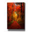 «Forest Garden» par Philippe Sainte-Laudy, art mural sur toile-124941556