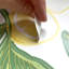 Lemon Wall Decal