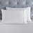 Fieldstone Cotton Two-Line Embroidered Deep Pocket Bed Sheet Set by Superior-101056807-110842881