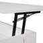 Alrun Coffee Table with Lift-up Storage-1693479832