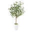Arbre d'eucalyptus artificiel Paislee, faux eucalyptus avec grande jardinière blanche, feuilles réalistes-344450664