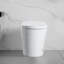 Tankless Smart Toilet With Bidet Built In, One-Piece, Auto Flush, Auto Open/Close,Heated Seat, Bubble Wash,Warm Water And Dry, Adjustable Temp,Remote Control Side Know