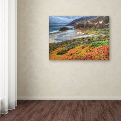 " Bigsur California " by Pierre Leclerc