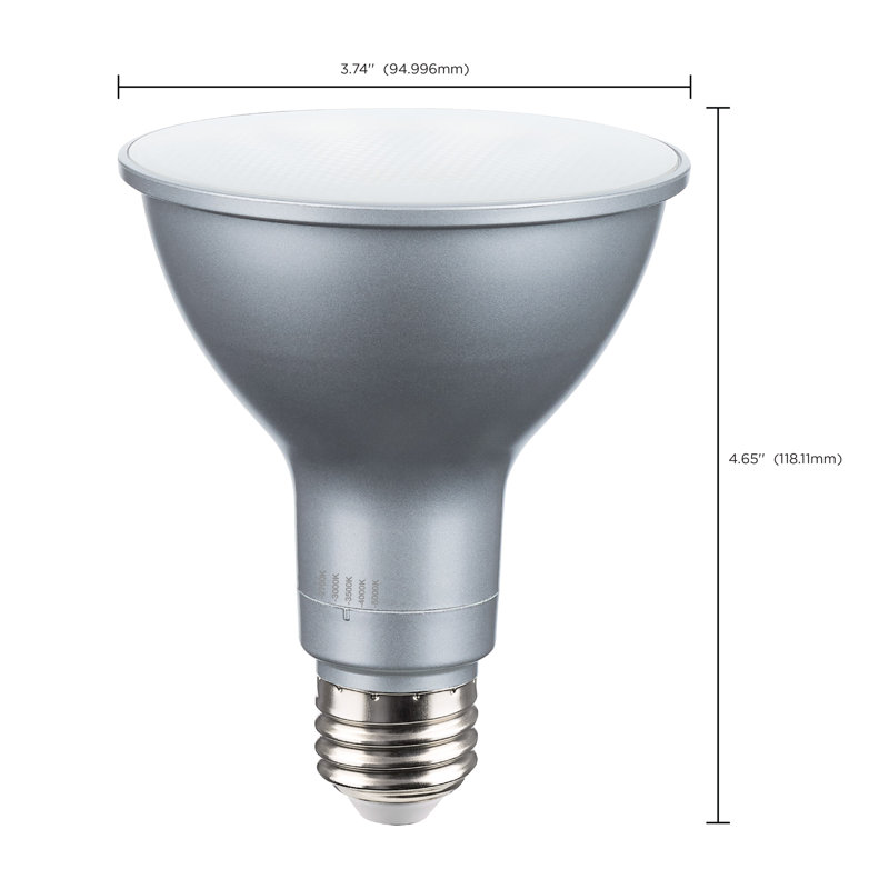 15 Watt Silver Bulb