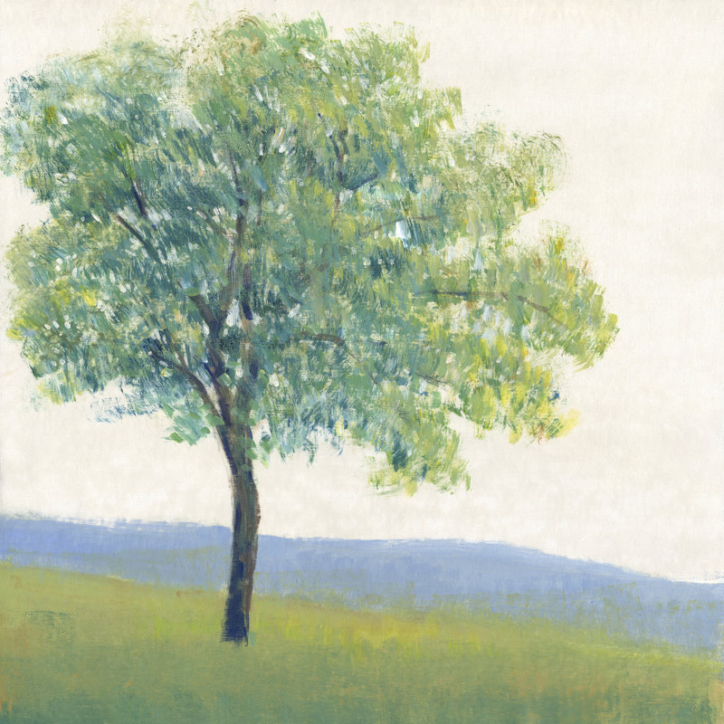 «Solitaire Tree I» par Timothy O 'Toole - peinture sur toile tendue, H 20 po x l 20 po
