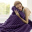 Bedsure Flannel Fleece Blanket for Girls, 300 GSM Soft and Cozy Blanket for Dorm & Home Decor, All-Season Gift-456233765-456233766
